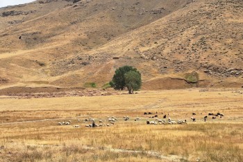 Landscapes Mountains of Morocco near Midelt